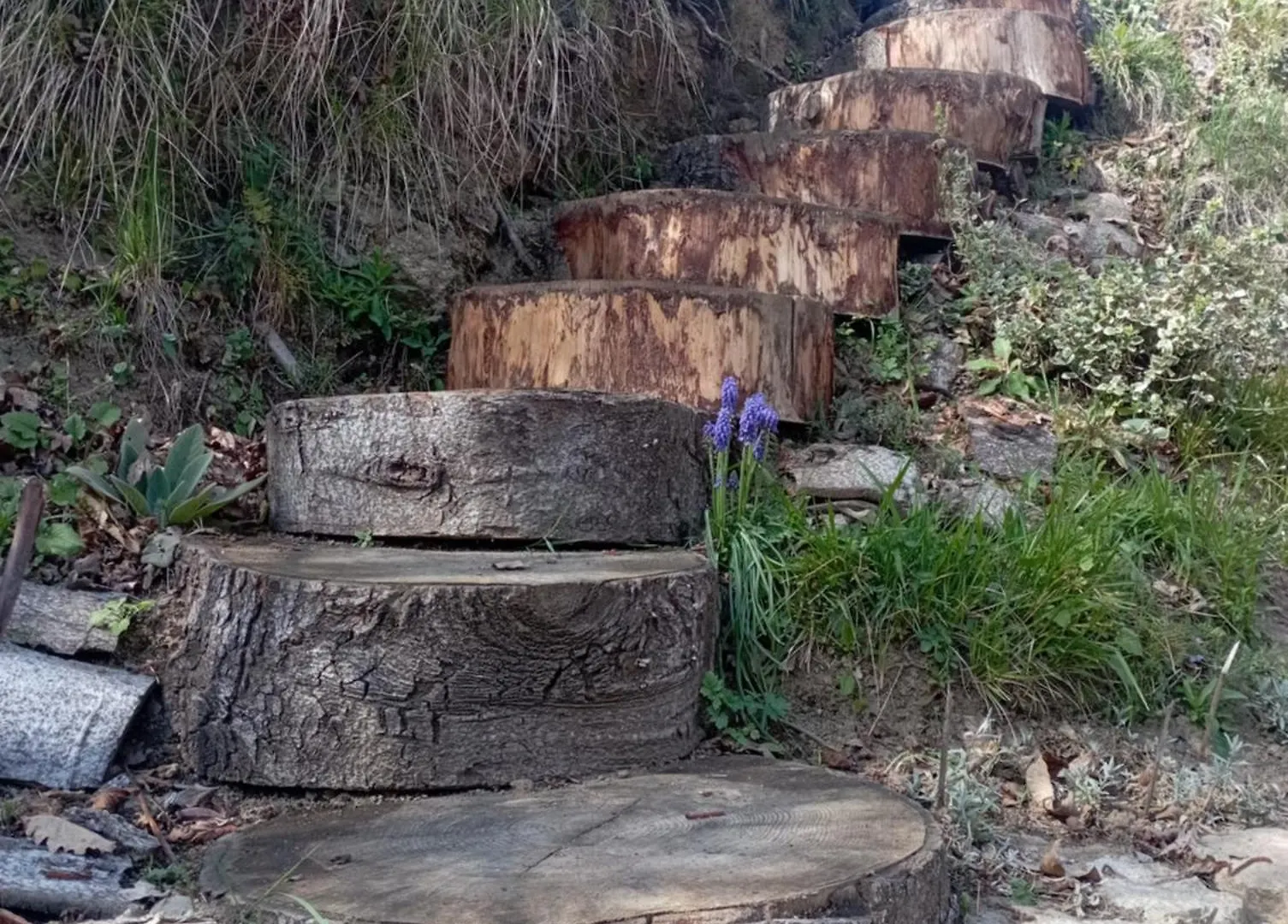 Дом отдыха Roseland, Retraite Calme En Pleine Nature Сен-Жирон